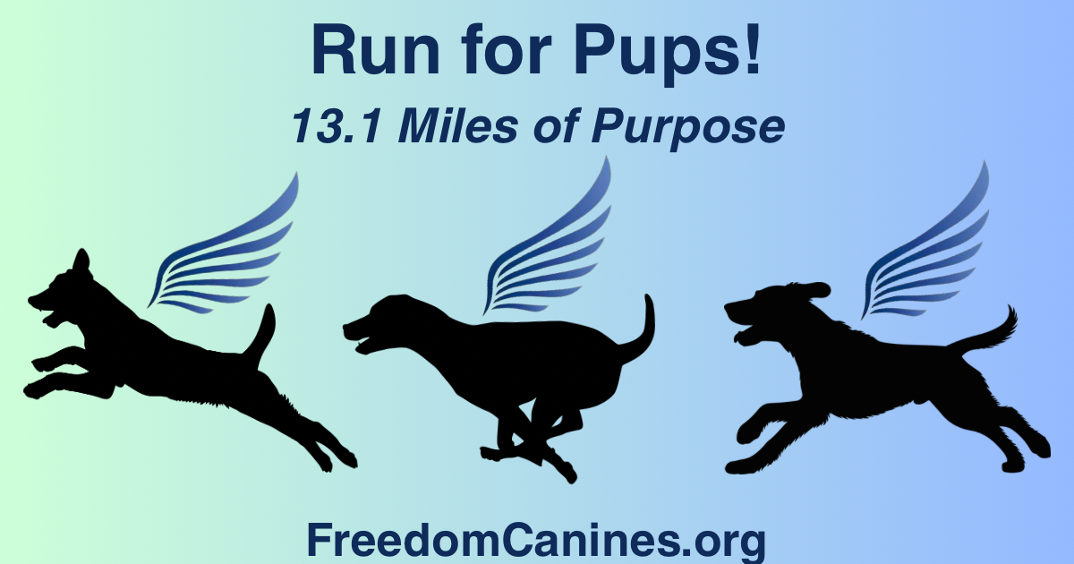 Campaign cover image for 🏃‍♀️ Run for Pups — 13.1 Miles of Purpose