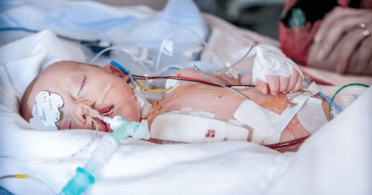 Campaign cover for JoeAbate Charitable Foundation