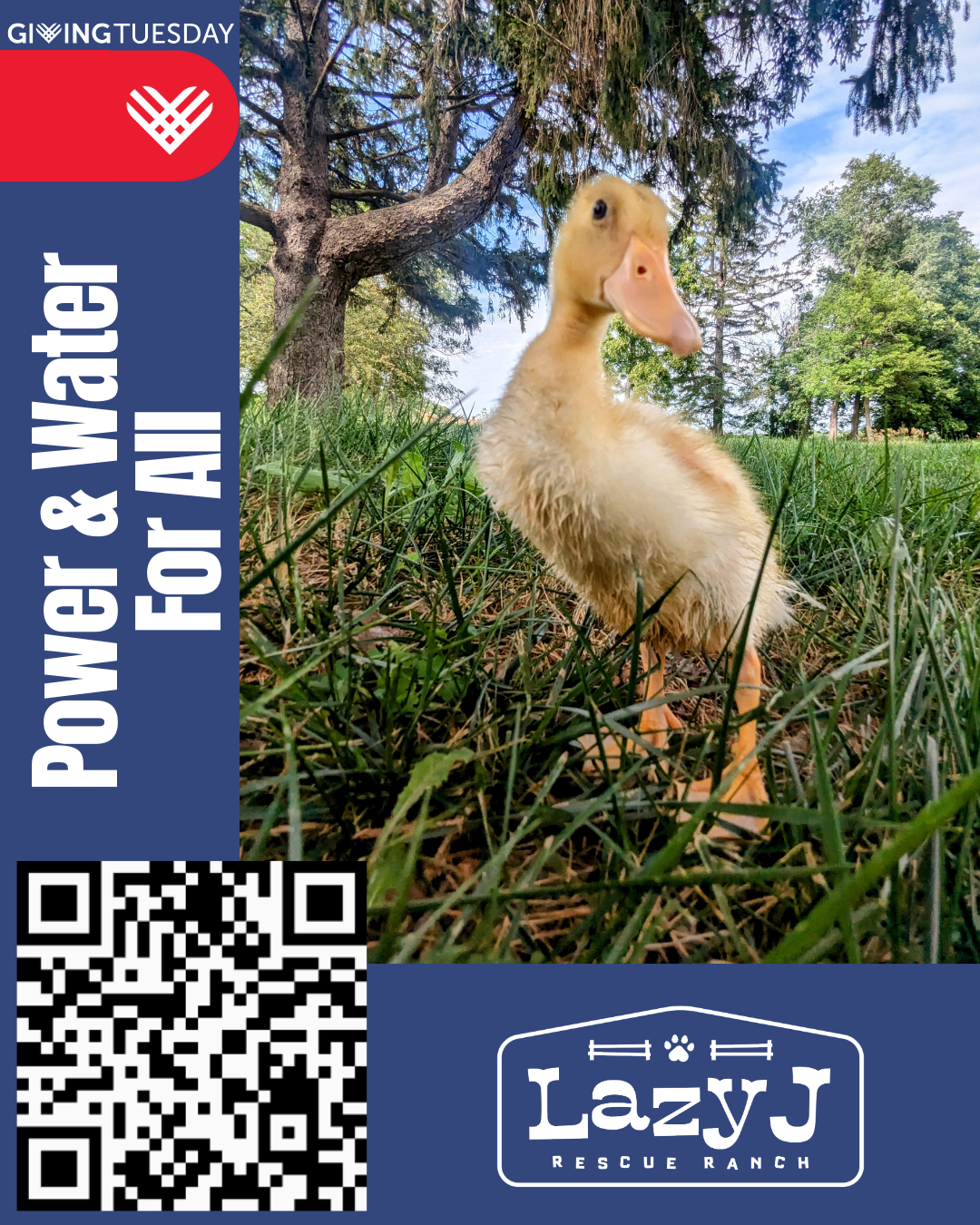 Campaign cover image for ⚡💧 Power & Water For All 🐐🐄