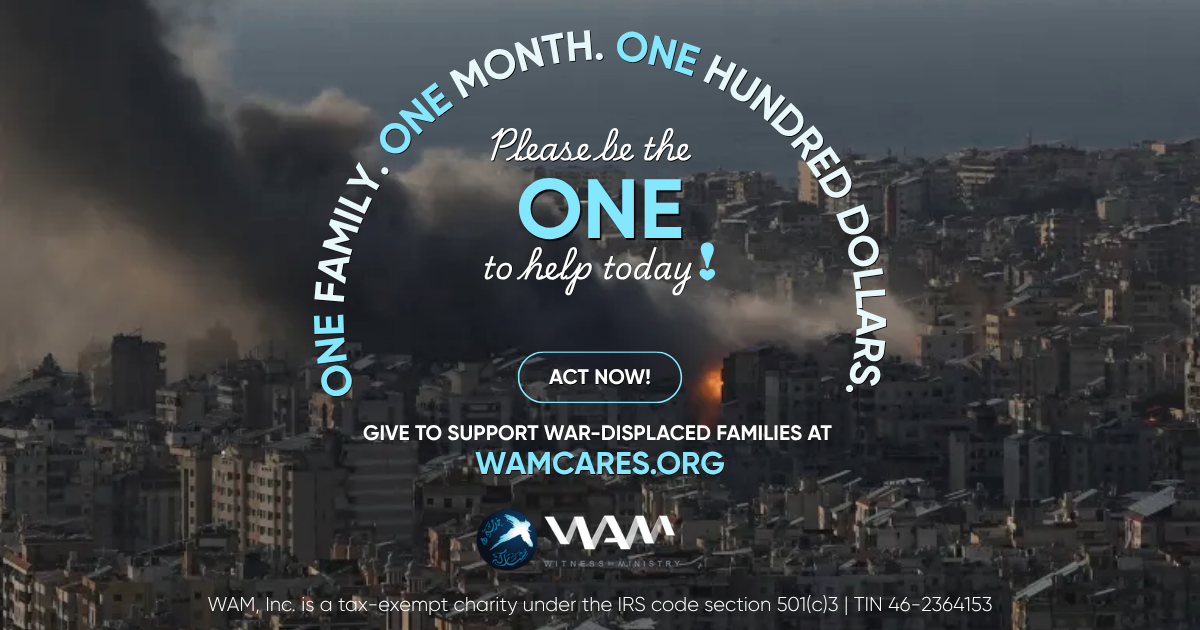 Campaign cover image for ONE for LEBANON