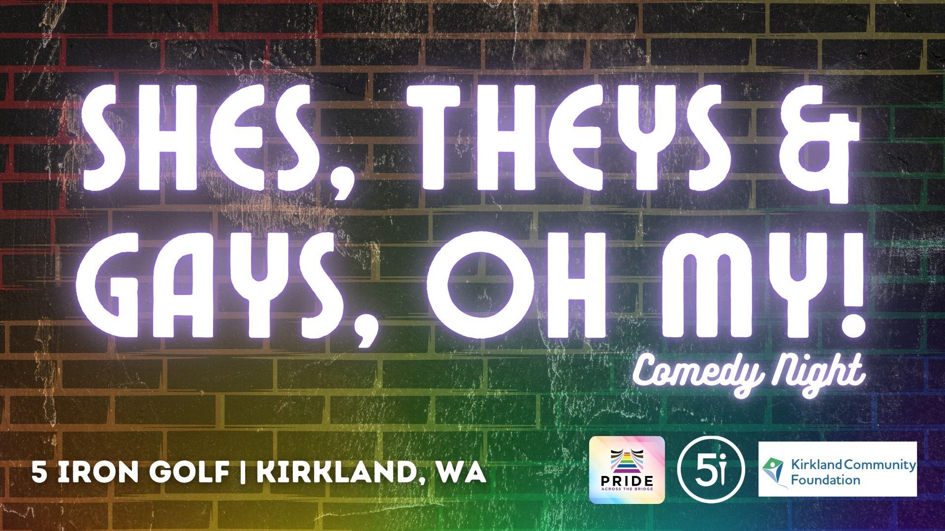 Campaign cover image for JANUARY_Shes, Theys, and Gays! Comedy Night