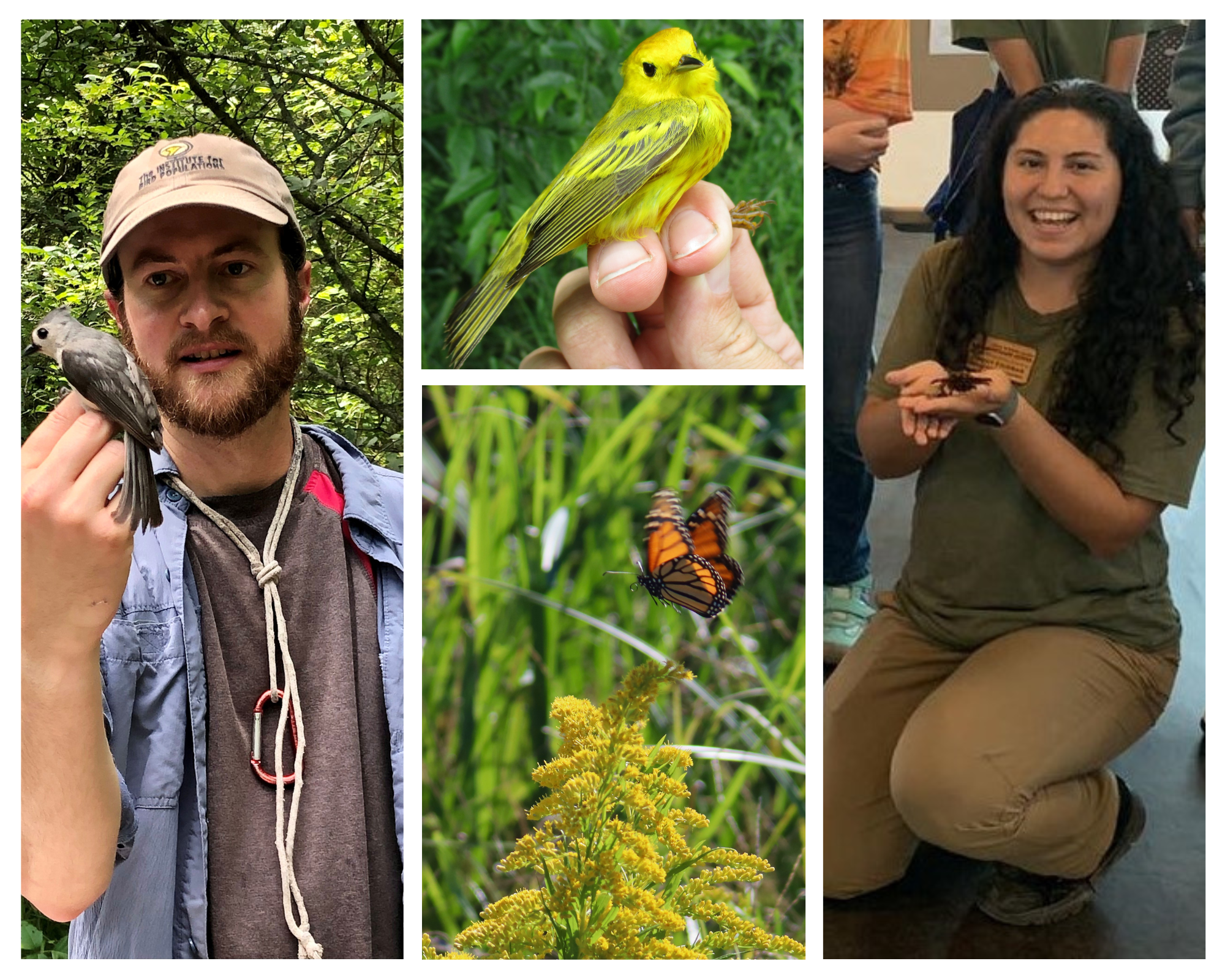 Campaign cover image for Aves & Insectos Bilingue * Bilingual Birds & Bugs