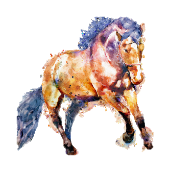 Campaign cover image for Night at the Races 2026