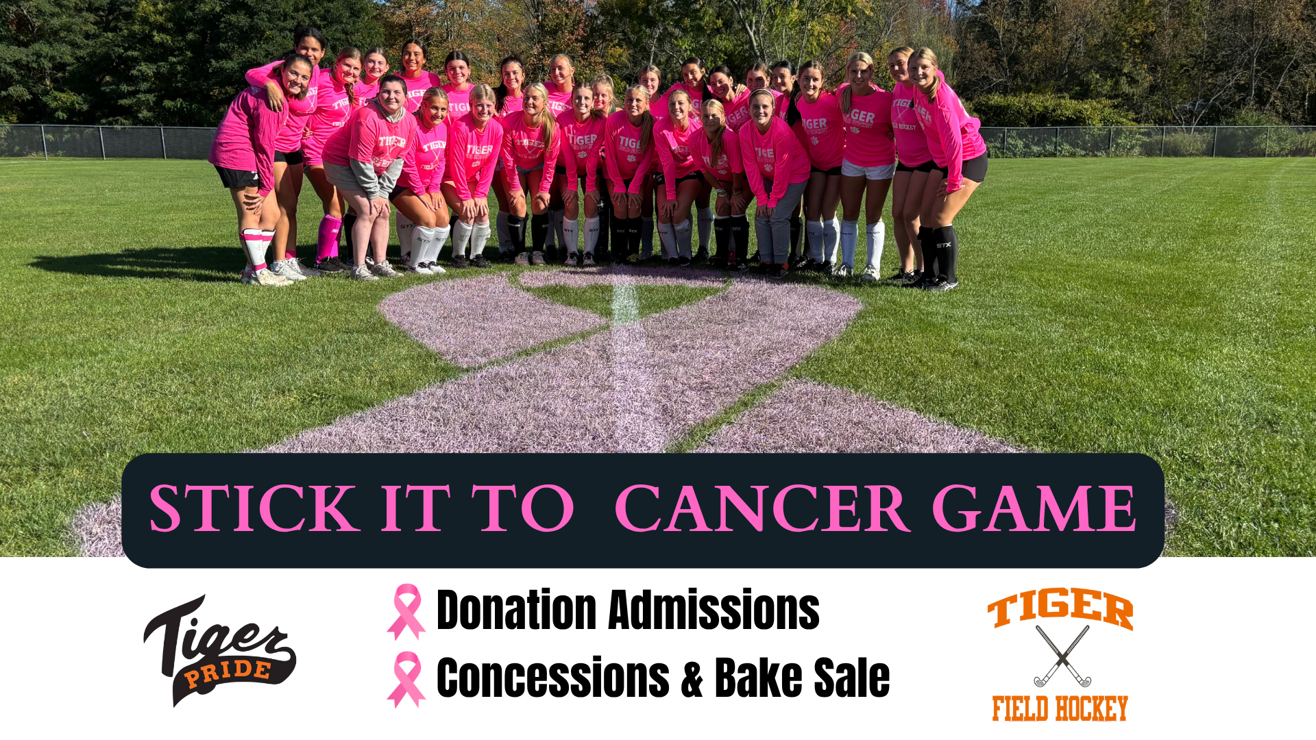 Campaign cover image for Tigers Stick It To Cancer