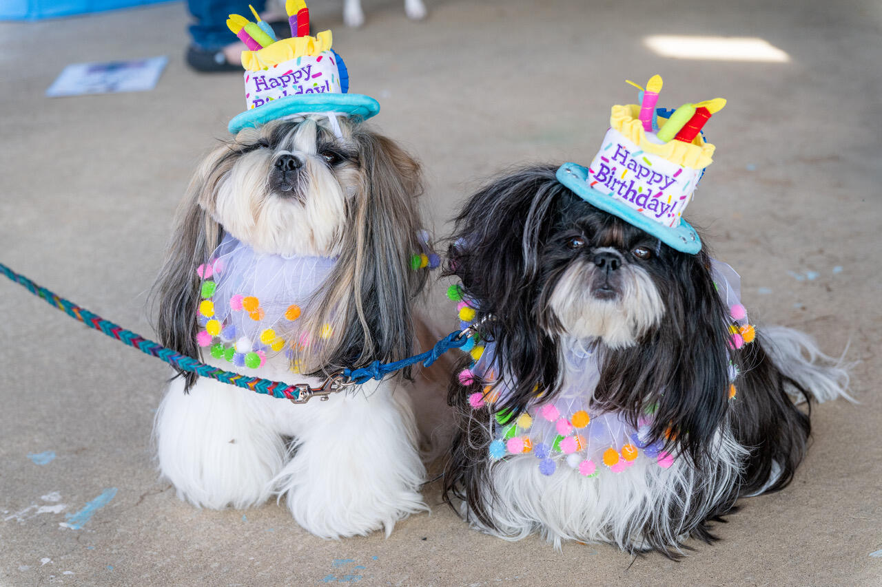 Campaign cover for Bark in the Park General Donation