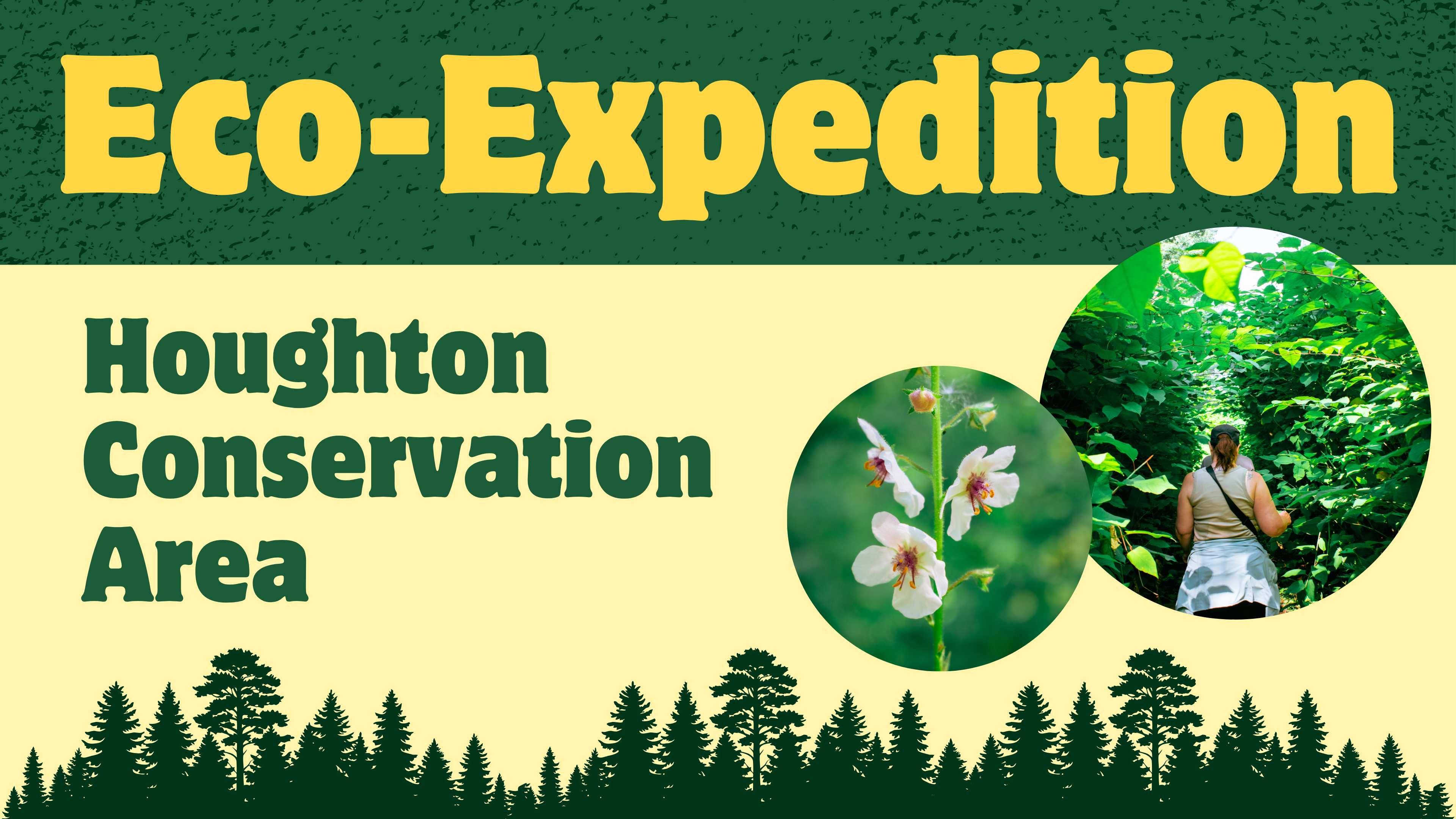 Campaign cover image for Eco-Expedition at Houghton Conservation Area