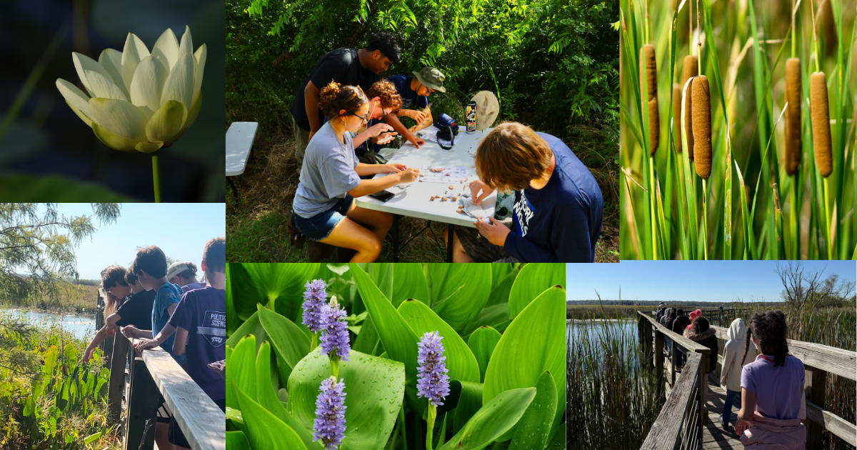 Campaign cover image for Summer Day Camp at the Wetland Center - Week 1