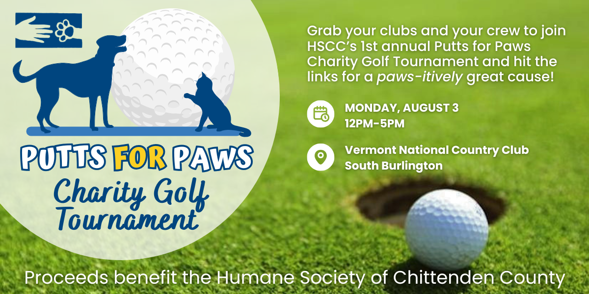 Campaign cover image for Putts for Paws