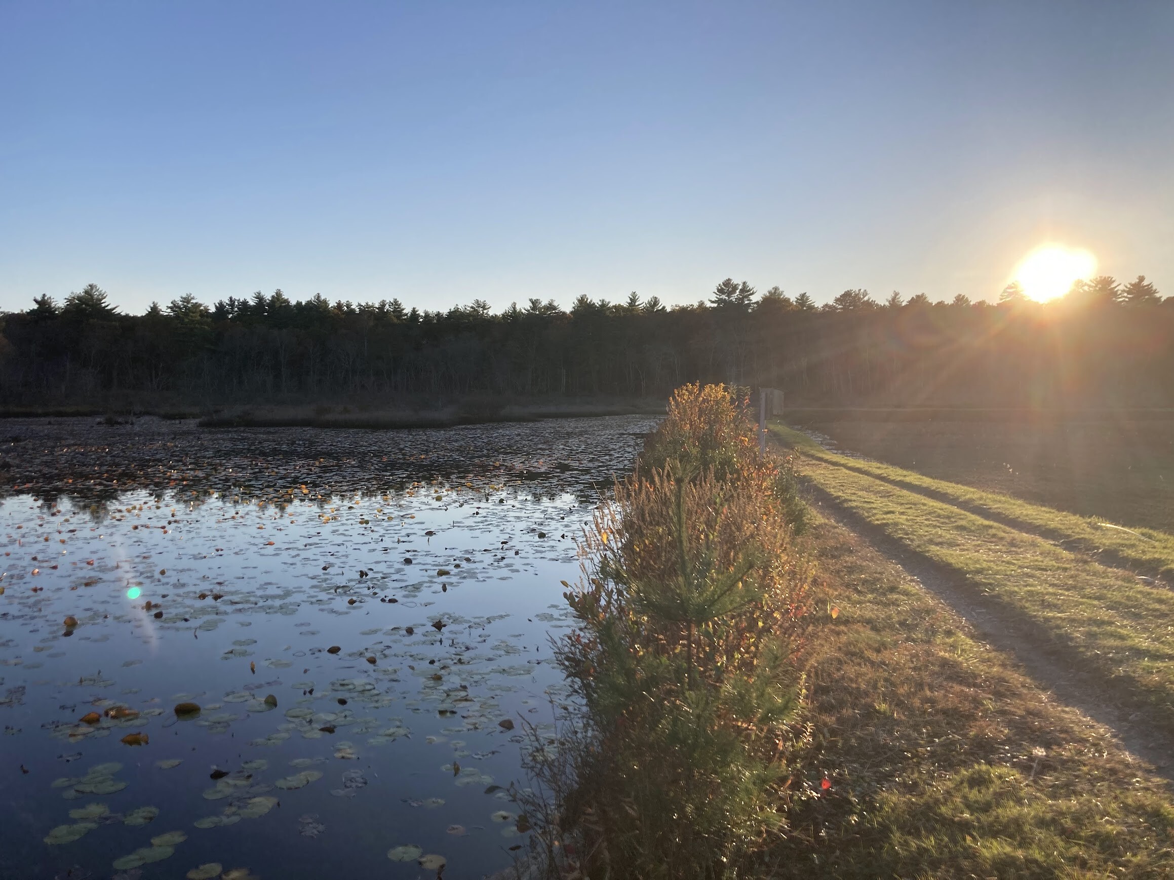 Campaign cover image for New Year's Day Walk @ White Eagle