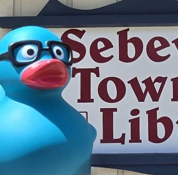 Campaign cover for Support Updates to the Sebewaing Township Library