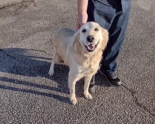 Campaign cover image for Tillie Marie HW+