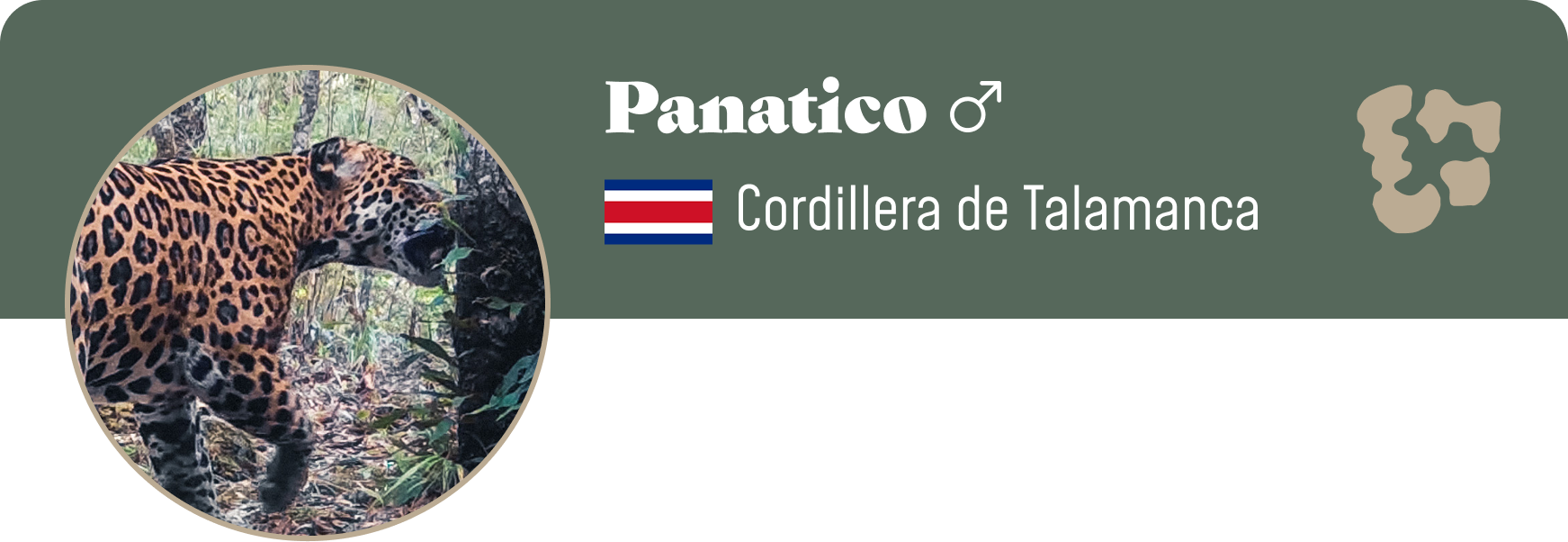 Campaign cover image for Adopt Panatico