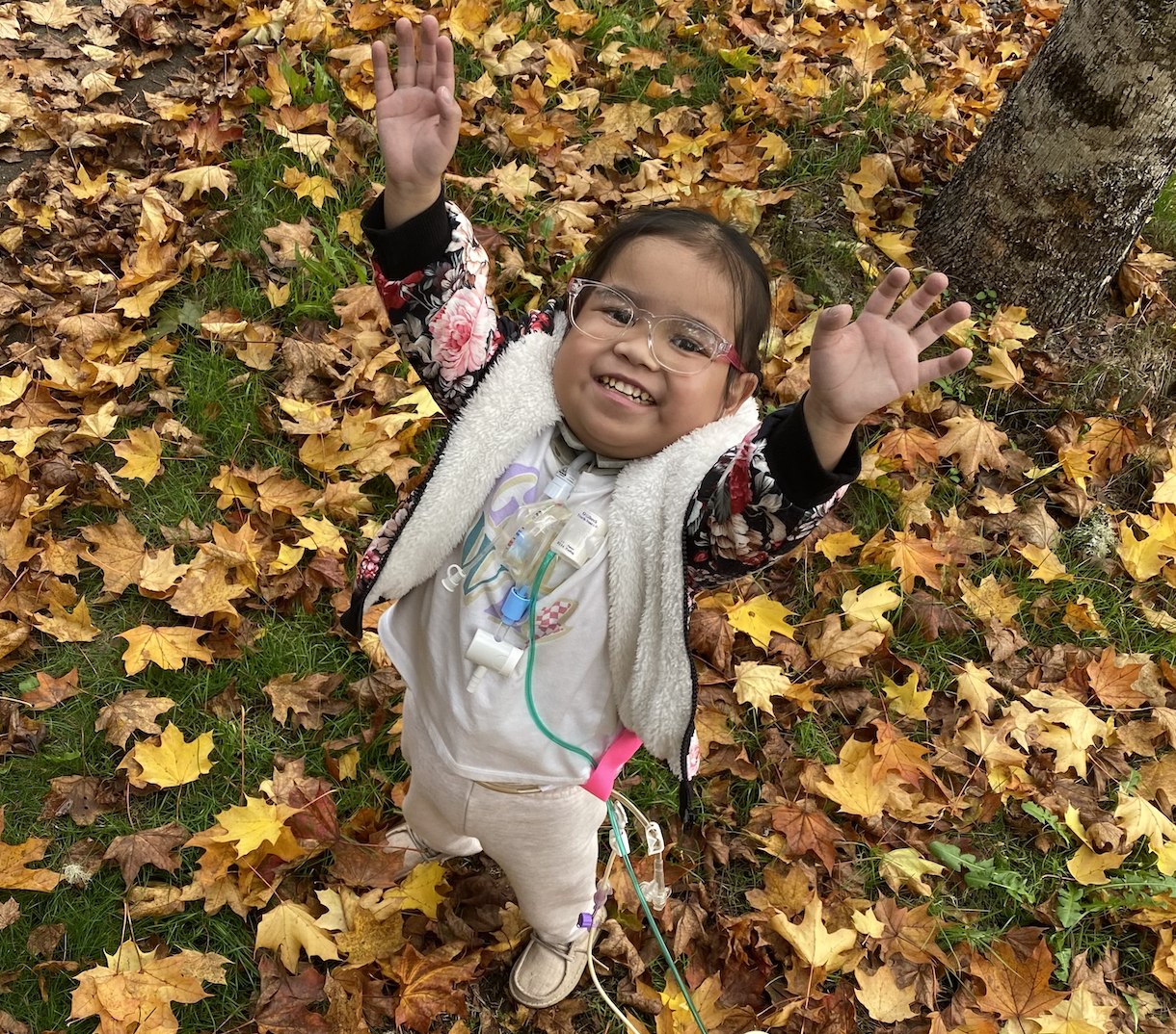 Campaign cover image for Healing Hearts Walk - Where Grief Meets Grace