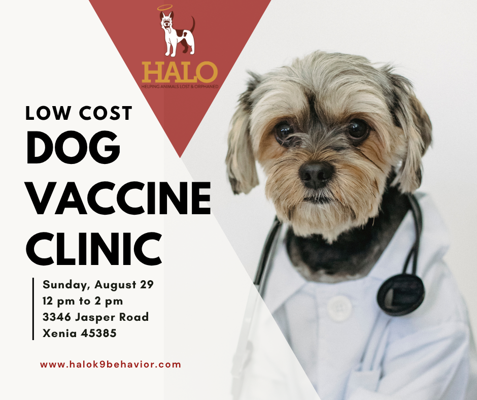 Campaign cover image for HALO Low Cost Vaccine Clinic