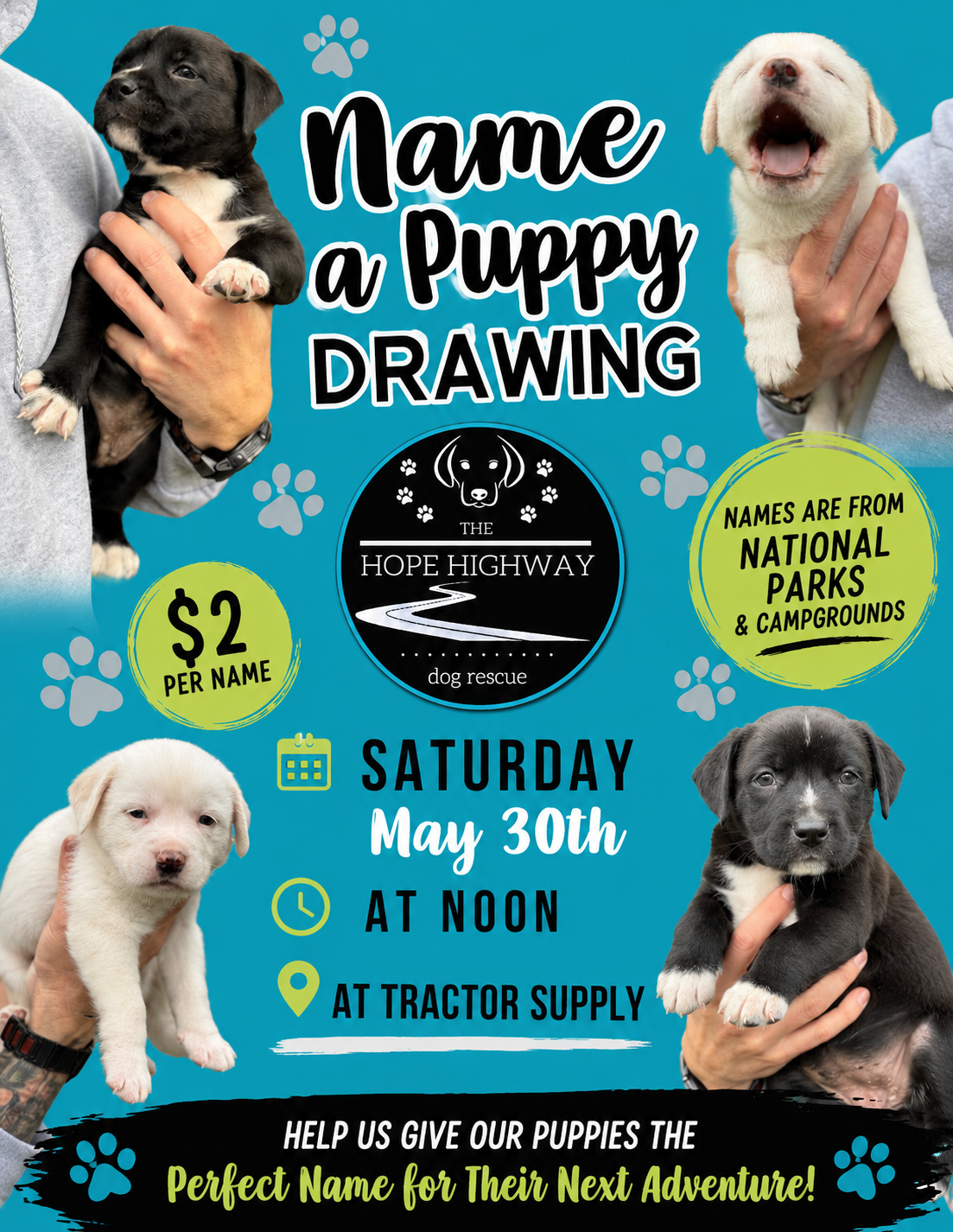 Campaign cover image for "Name a Puppy" Contest