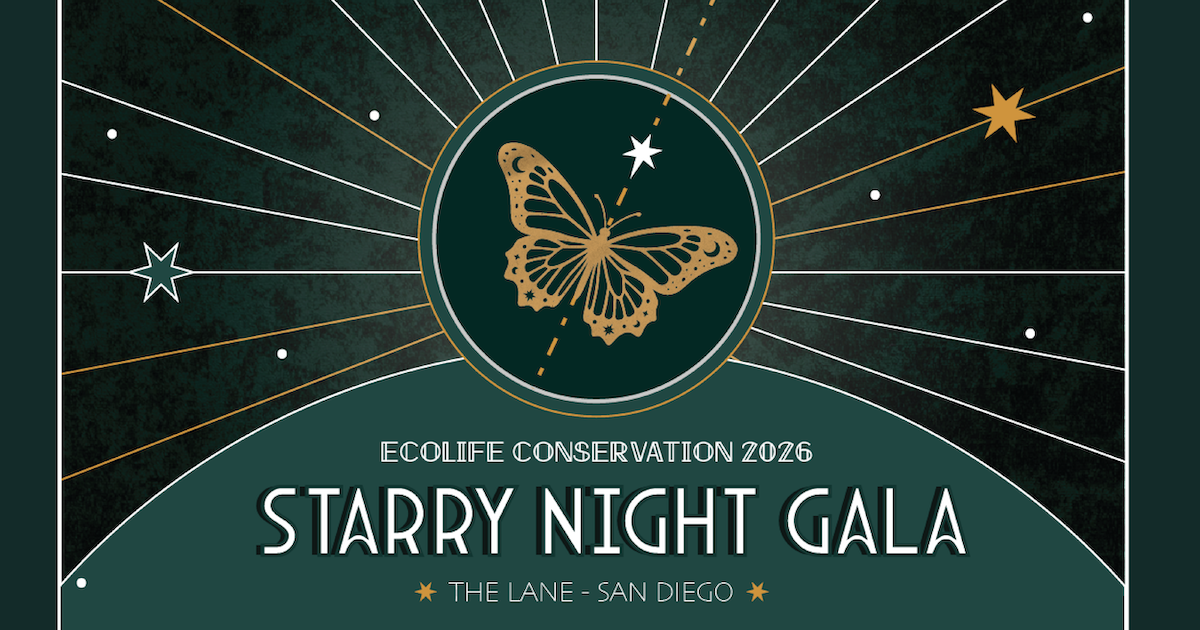Campaign cover image for Starry Night Gala 2026