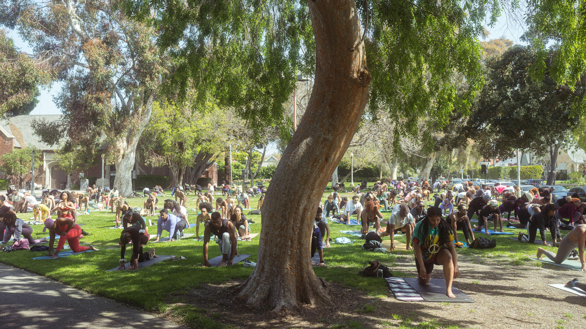 Campaign cover image for BreatheGood Easter Edition