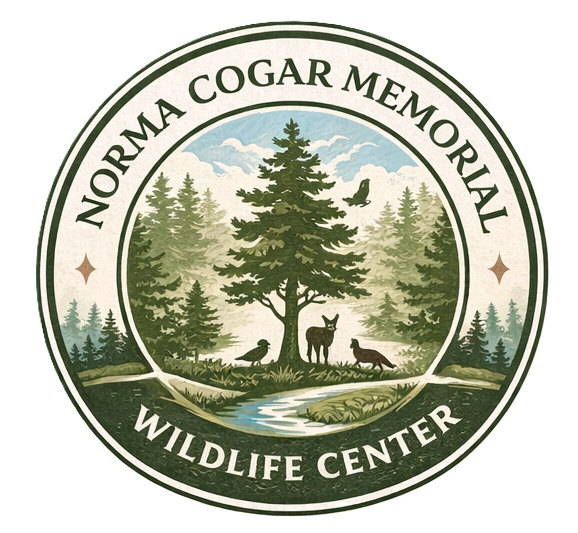 Campaign cover for Memberships