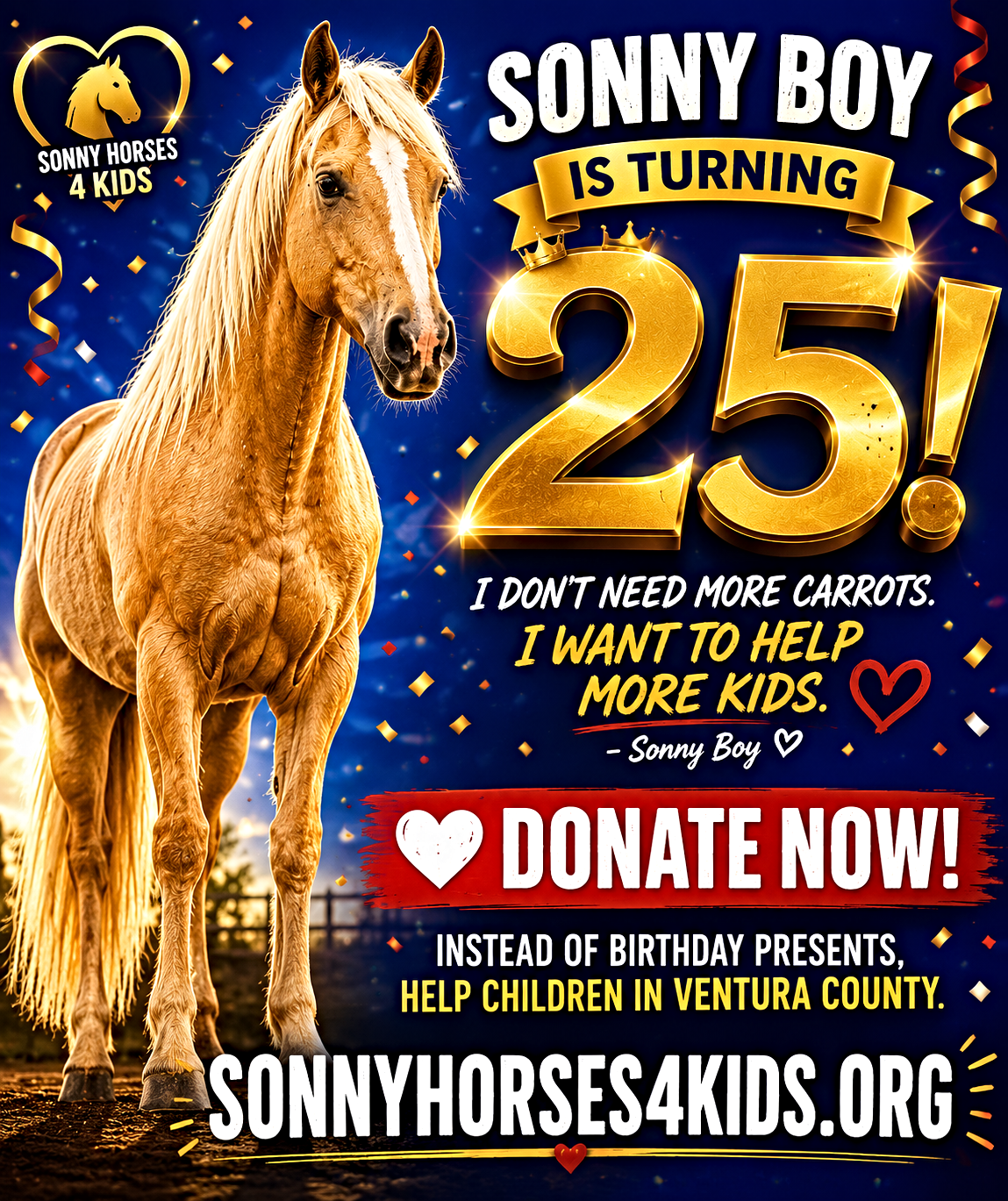 Campaign cover for Sonny Boys 25th Birthday Fundraiser Benefiting SONNY HORSES 4 KIDS Children's 501(c)3 Non-Profit EIN# 92-2983467
