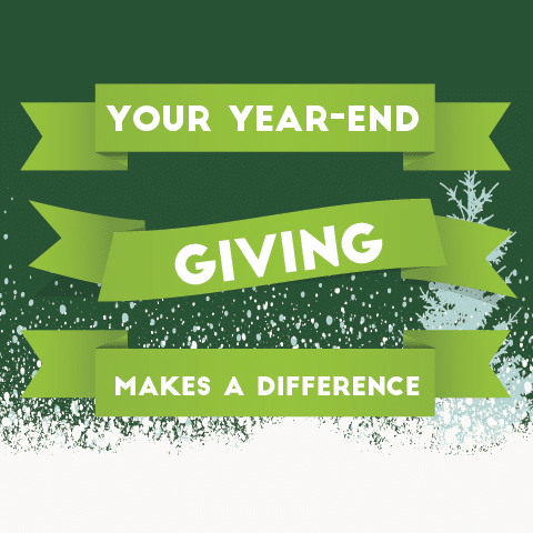 Campaign cover image for Your Year-End Gift Can Change a Life Today!