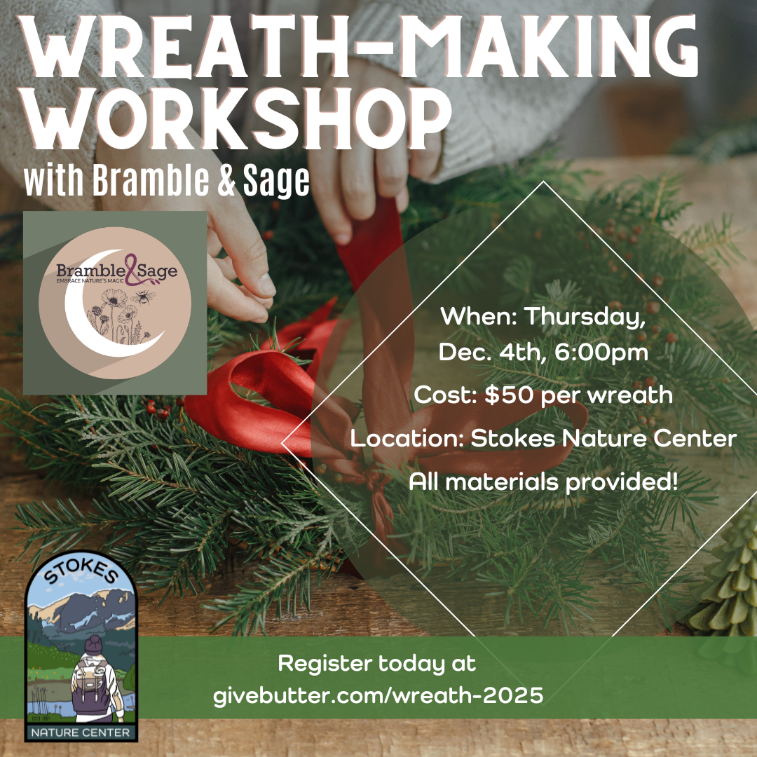 Campaign cover image for Wreath Making Workshop