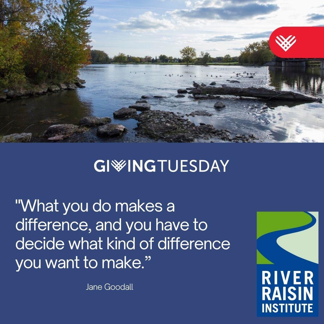 Campaign cover image for Giving Tuesday 2025