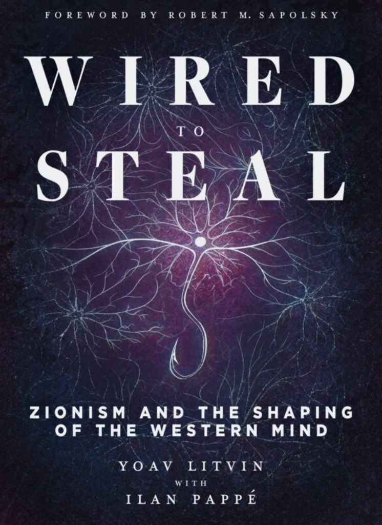 Campaign cover image for Wired to Steal: Book Talk with Yoav Litvin & Ilan Pappe