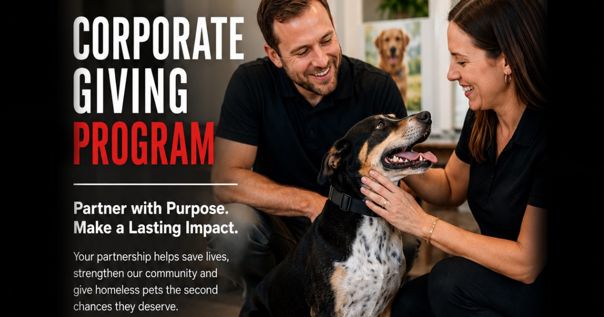 Campaign cover for Corporate Giving