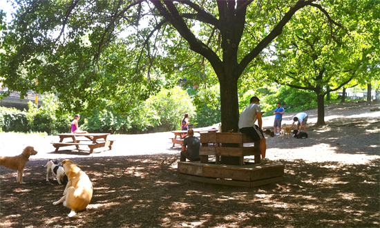 Campaign cover image for Brookdale Dog Park Friends and Community Season of Sharing!