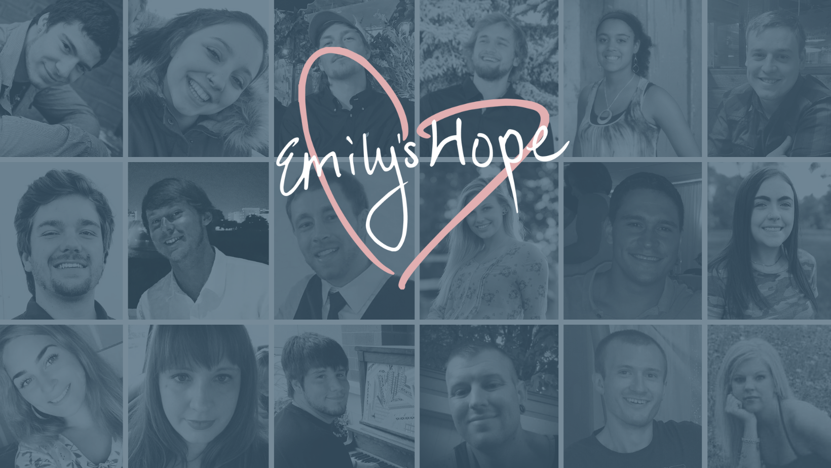 Campaign cover image for Support Emily's Hope