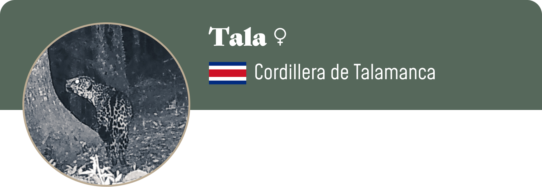 Campaign cover image for Adopt Tala