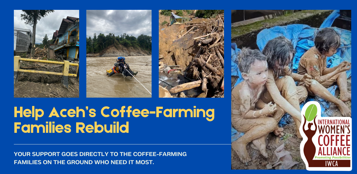 Campaign cover image for Support Disaster Relief for Aceh’s Coffee-Farming Communities