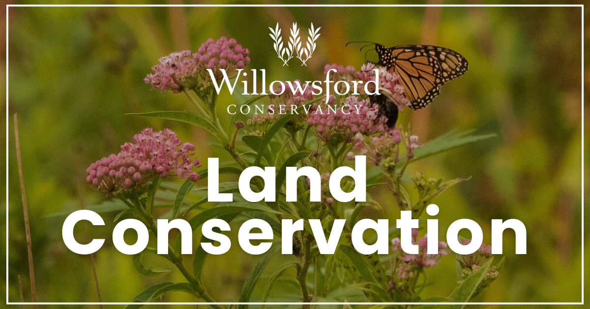 Campaign cover for Land Conservation
