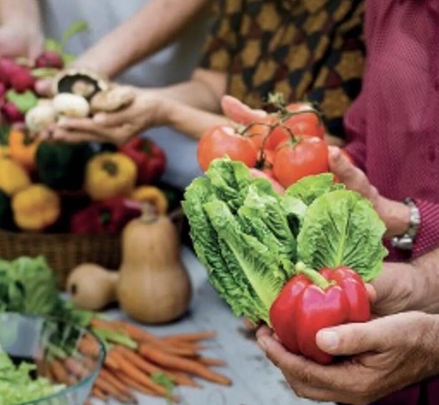 Campaign cover image for Harvest of Hope