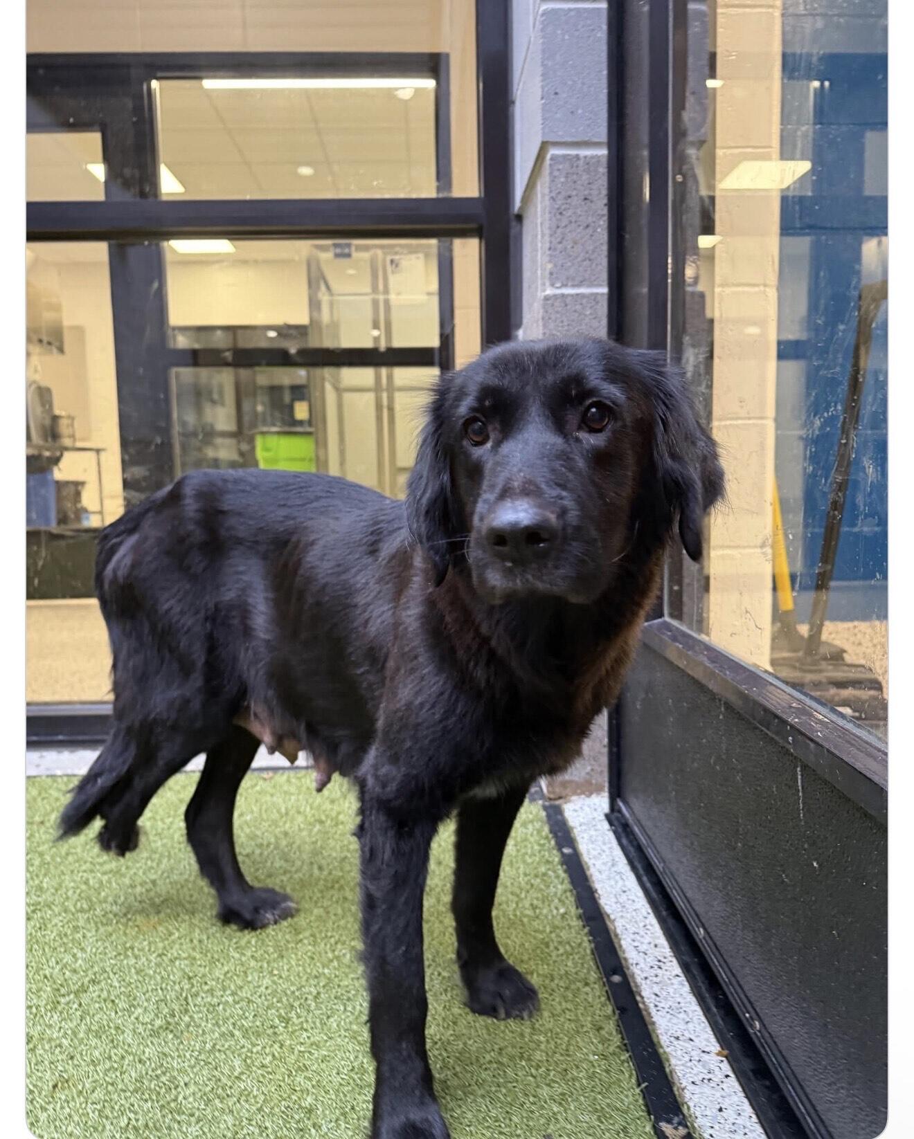 Campaign cover image for Stormy HW+