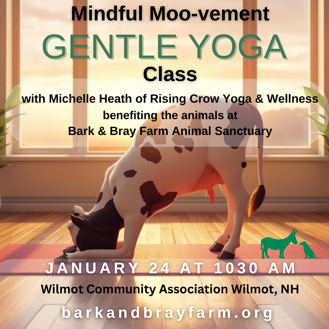 Campaign cover image for Mindful Moo-vement Gentle Yoga Class