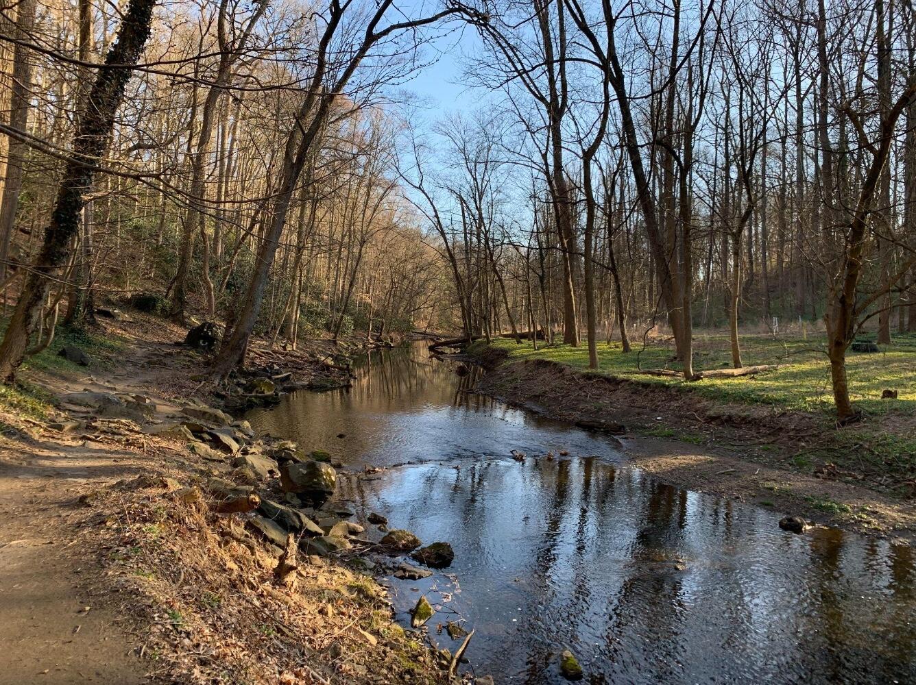 Campaign cover image for The Potential for Mycofiltration of E. coli Pollution in The Crum Creek Using T. versicolor and P. ostreatus