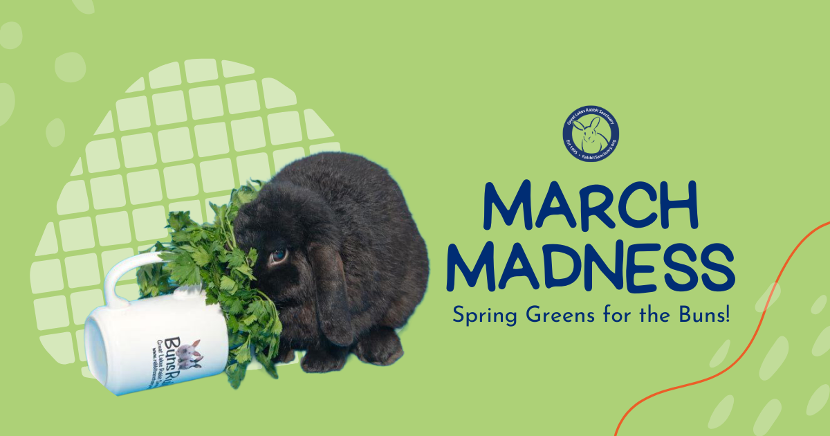 Campaign cover image for Buy a Bunny Breakfast: March Madness Edition!