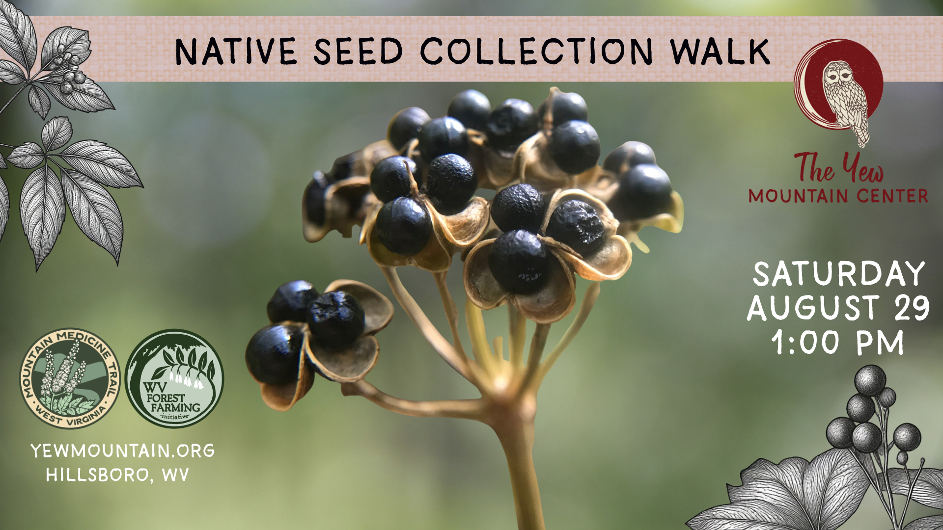 Campaign cover image for Native Seed Collection Walk