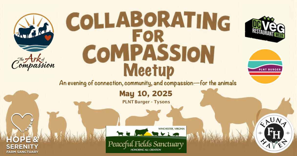 Campaign cover image for Collaborating for Compassion Meetup