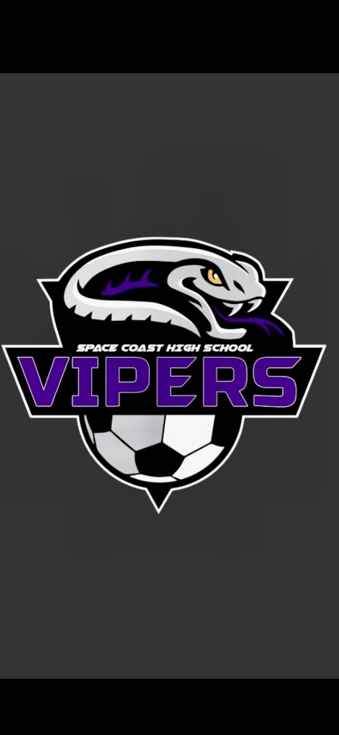 Campaign cover image for SCHS Soccer fundraiser