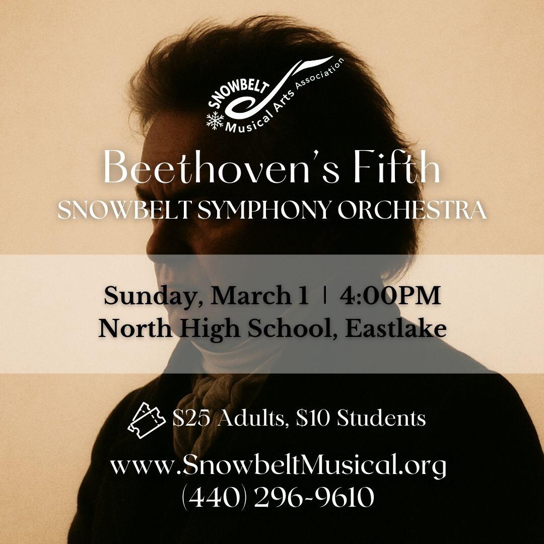 Campaign cover image for Snowbelt Symphony: Beethoven's Fifth