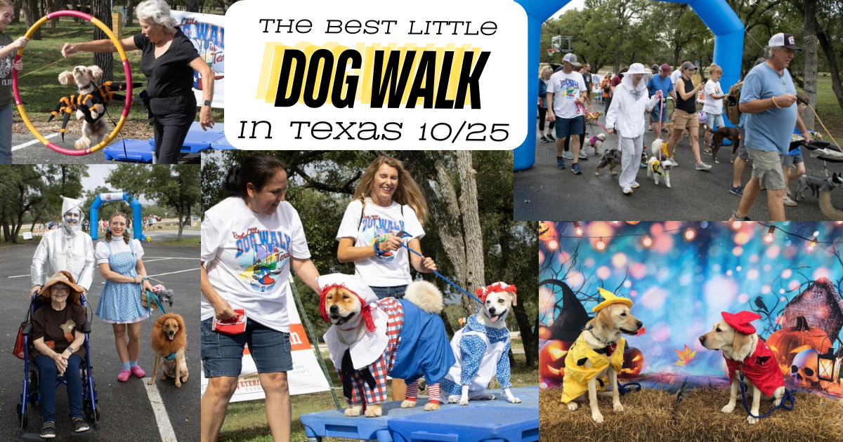 Campaign cover image for The Best Little Dog Walk in Texas