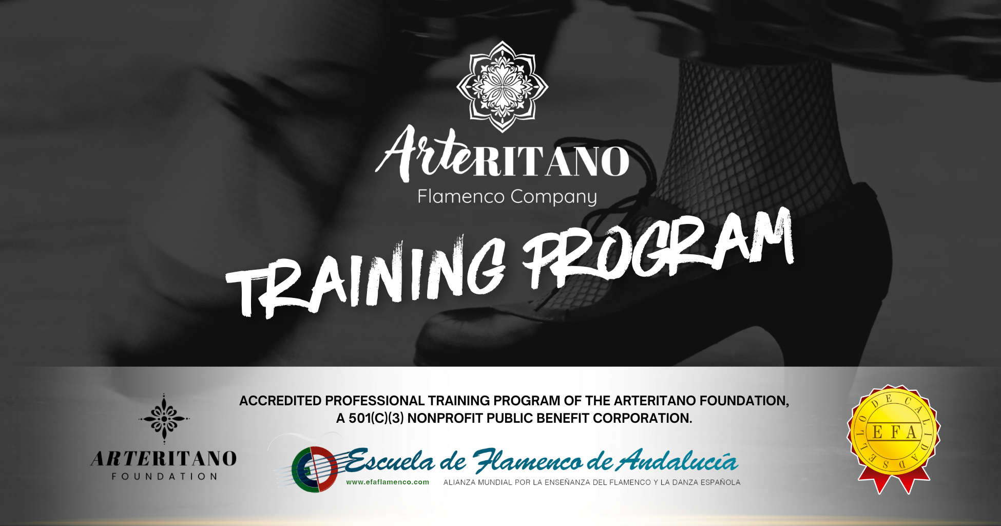 Campaign cover image for Arteritano Flamenco Company’s Training Program