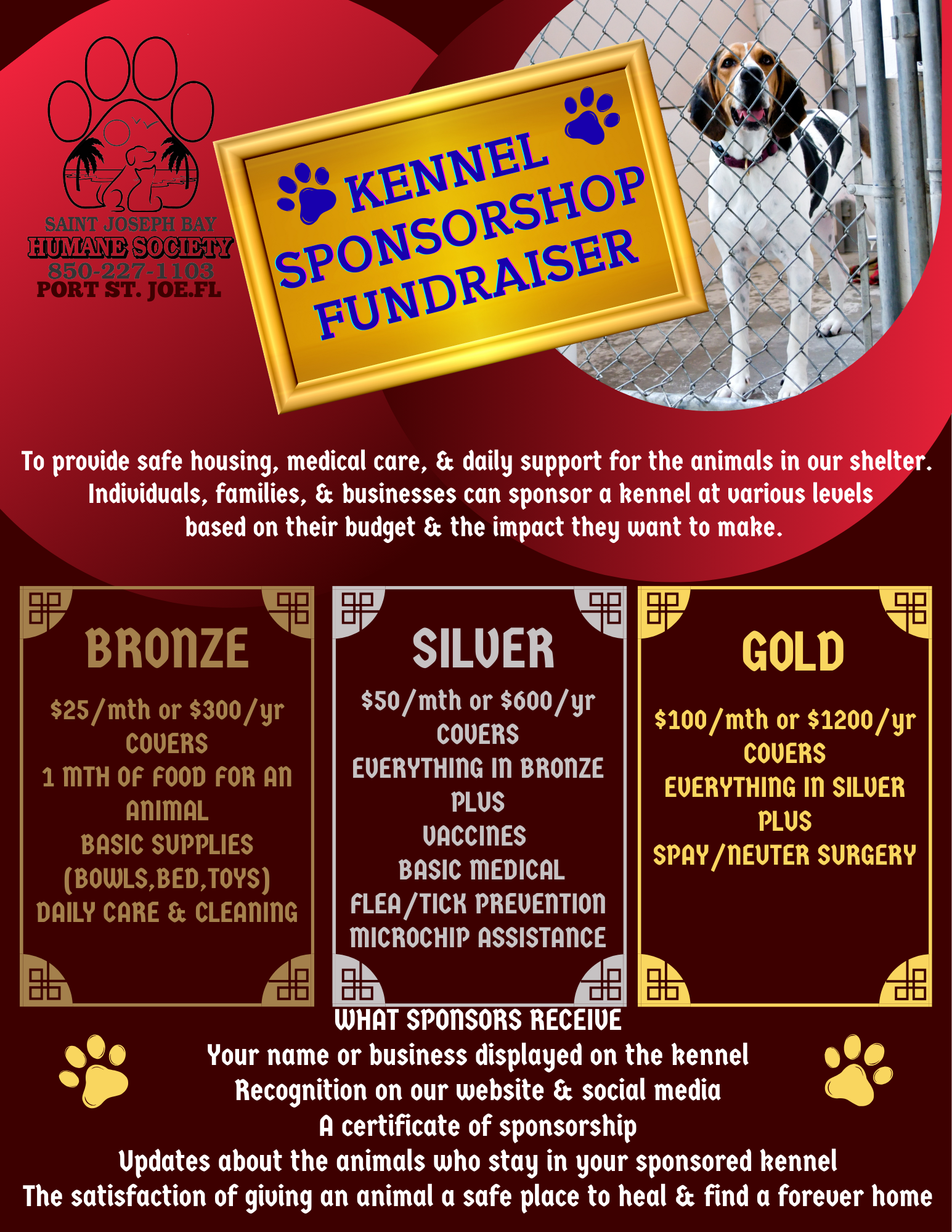 Campaign cover for Kennel Sponsor