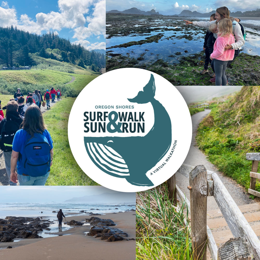 Campaign cover image for Surf & Sun Virtual Walk & Run 2025