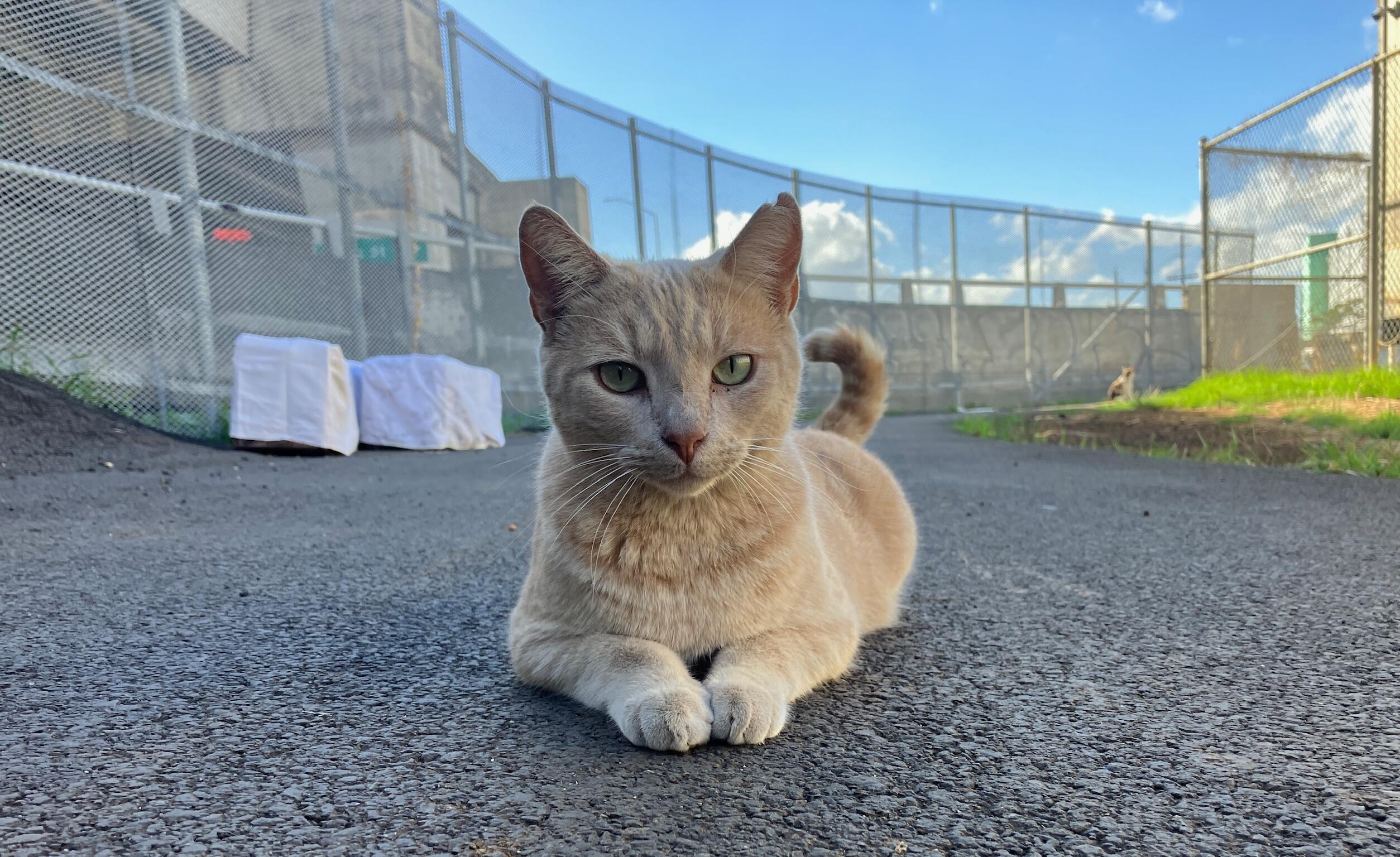 Campaign cover image for $50,000 Matching Gift Challenge