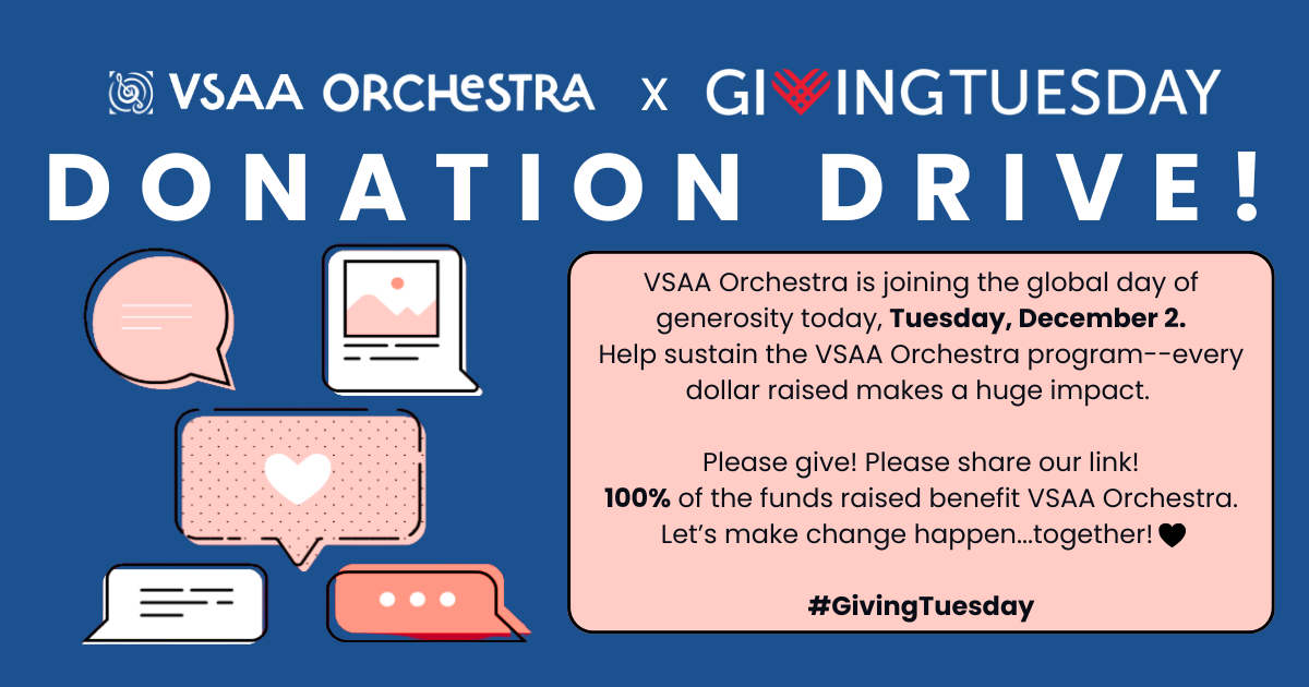 Campaign cover image for Giving Tuesday - VSAA Orchestra