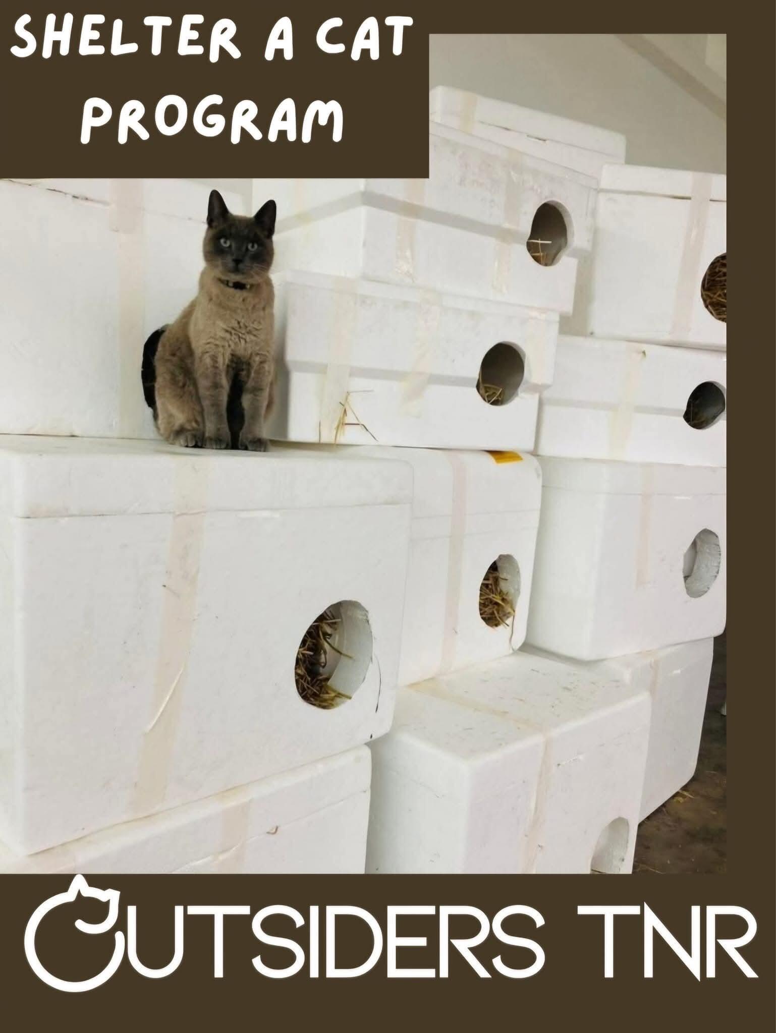 Campaign cover image for Outsiders TNR Winter Shelter