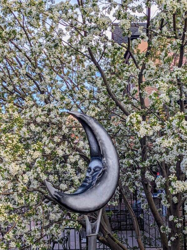 Campaign cover image for Support Art on the Avenue